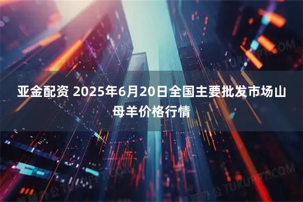 亚金配资 2025年6月20日全国主要批发市场山母羊价格行情
