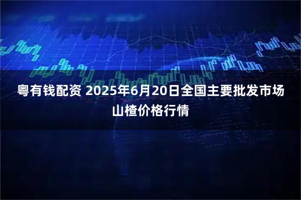 粤有钱配资 2025年6月20日全国主要批发市场山楂价格行情