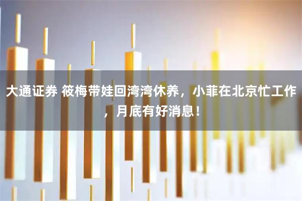 大通证券 筱梅带娃回湾湾休养，小菲在北京忙工作，月底有好消息！