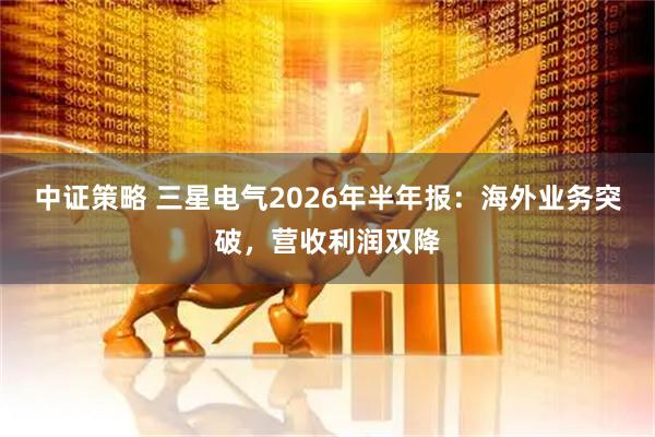 中证策略 三星电气2026年半年报：海外业务突破，营收利润双降